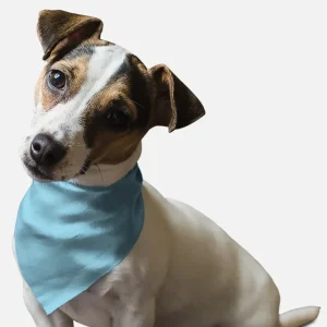 Water Bowl Blue Dog Bandana by BanDoggie