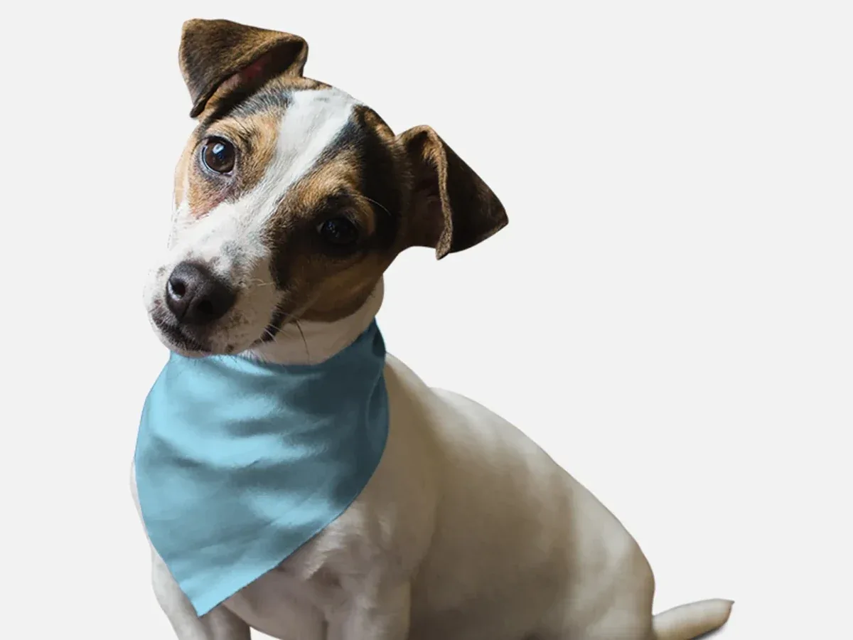 Water Bowl Blue Dog Bandana by BanDoggie