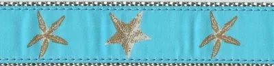 Starfish -- Aqua