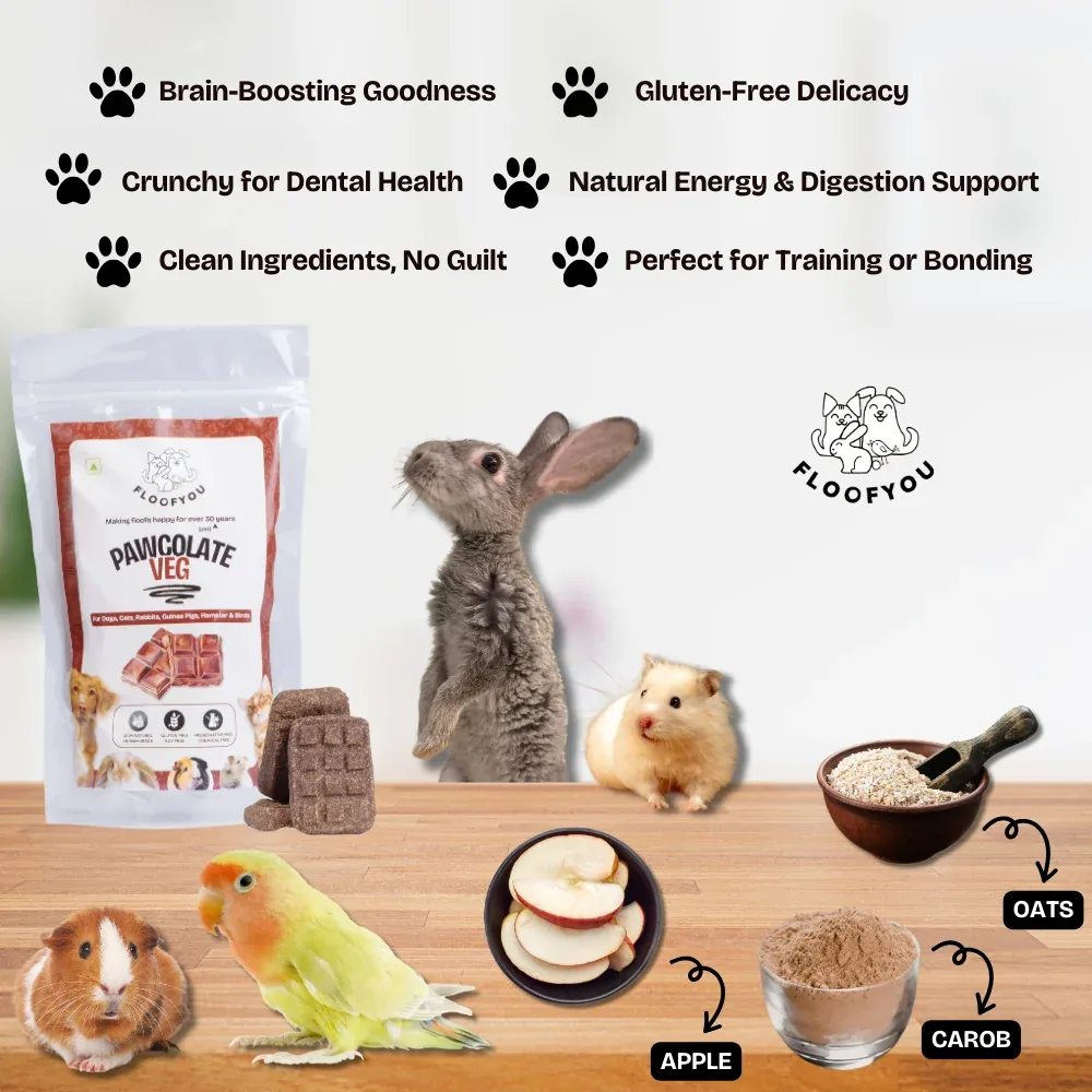 FloofYou Oven Baked Pawcolate Chocolate Flavoured Small Animal Treats - Image 2