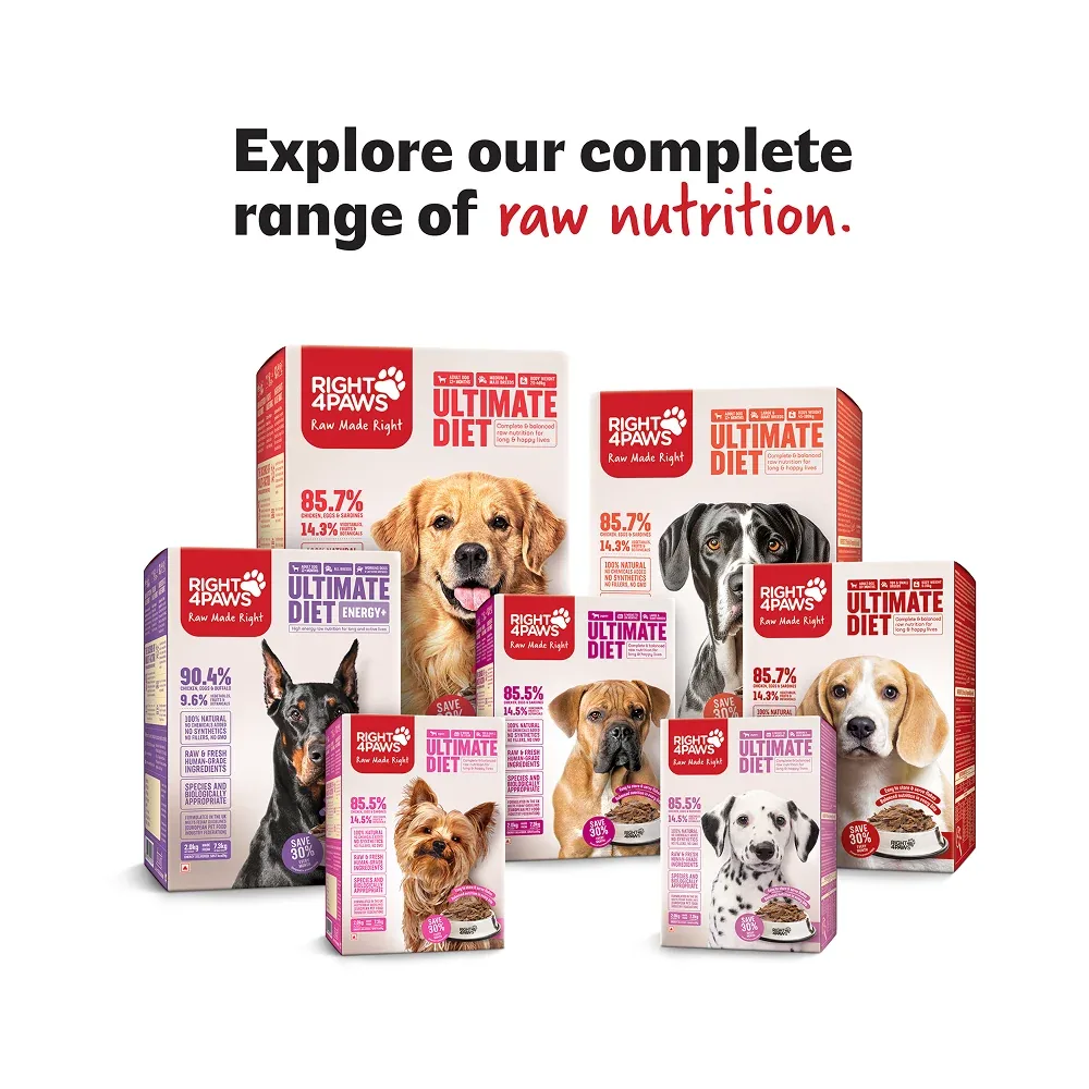 Right4Paws Ultimate Diet Toy & Small Puppy Dog Dry Food - Image 2