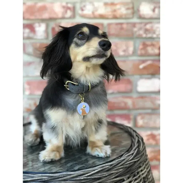 Love is Love Pet ID Tag - Image 2