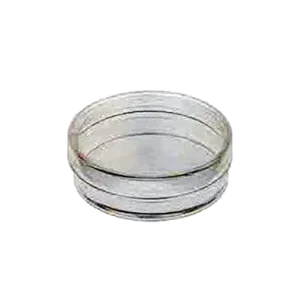 Petri Dish 10 x 35 mm