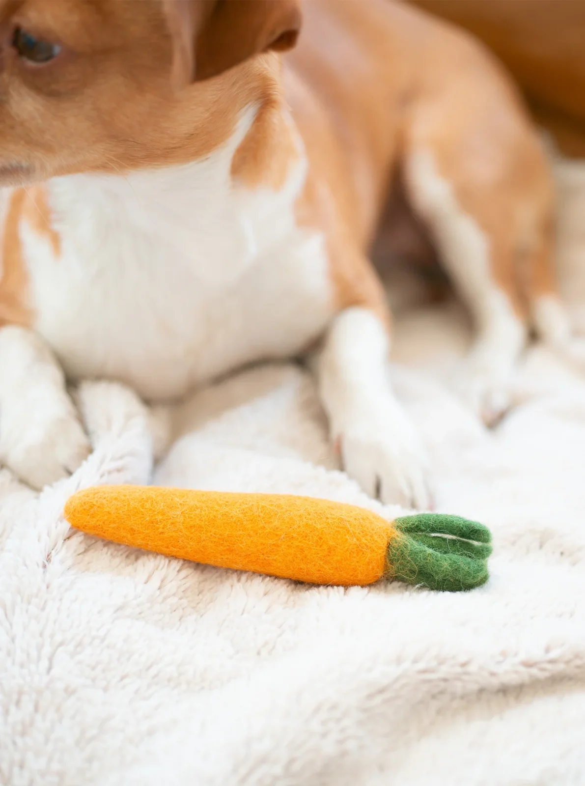 HEIRLOOM CARROT WOOL DOG & CAT TOY - Image 2