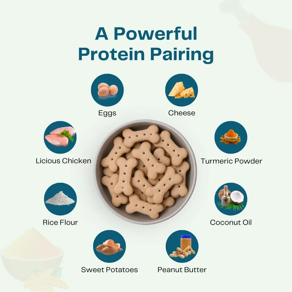 Pawfectly Made By Licious Chicken & Peanut, Chicken & Cheese Butter Biscuits Dog Treats Combo - Image 2