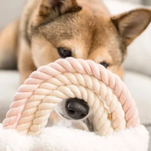 RAINBOW PASTEL PLUSH DOG TOY