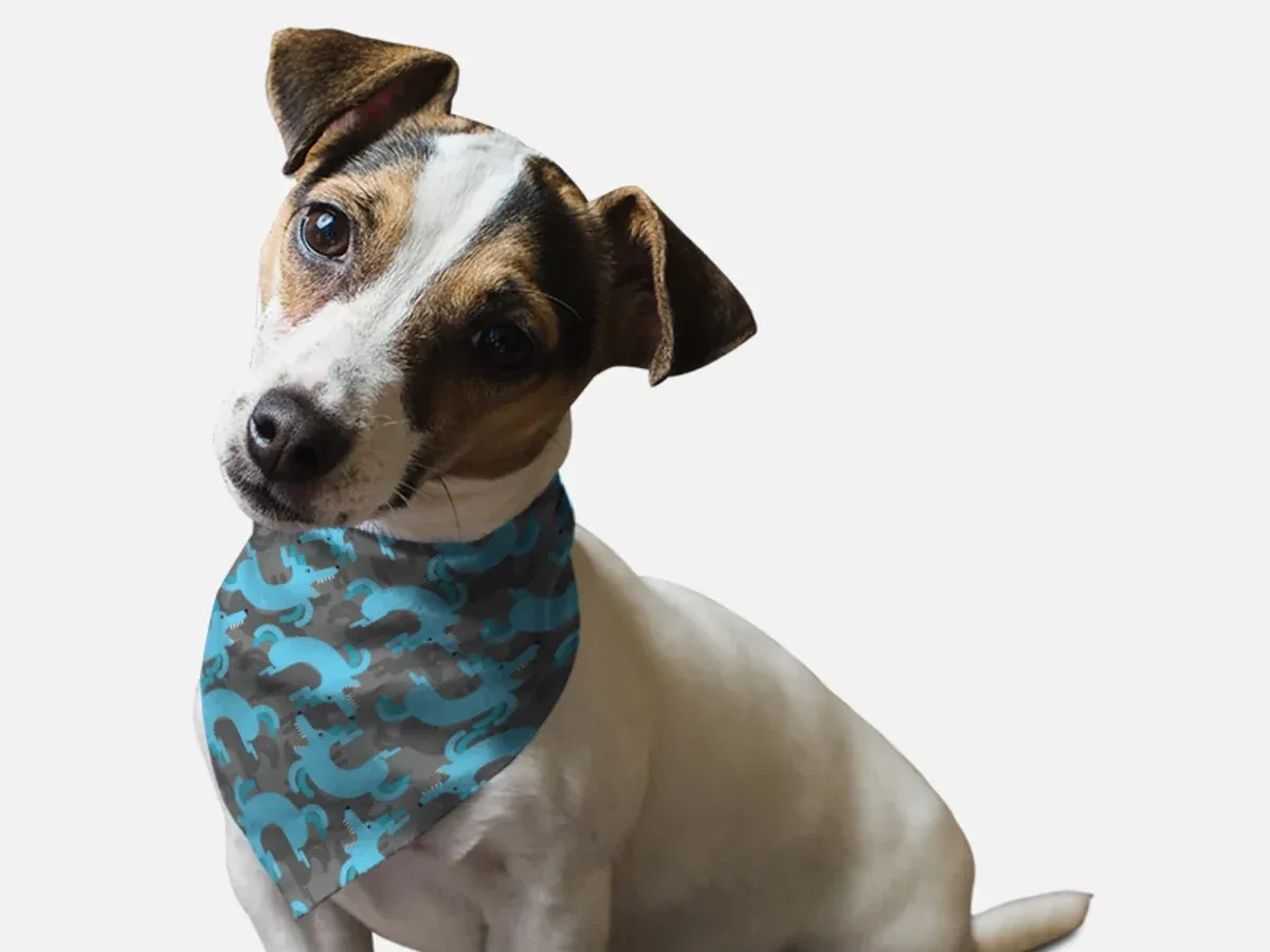 Go For Walk? Dog Bandana by BanDoggies