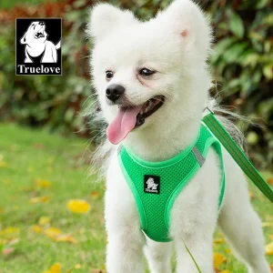 Truelove Mesh Harness & Leash Set for Cats & Small & Medium Dogs (Grass Green)