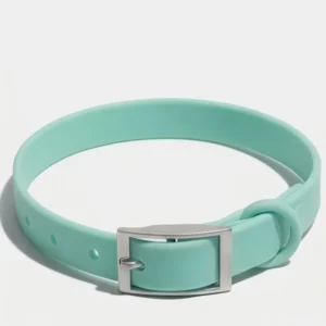 Skatrs Adjustable Collar for Dogs (Aqua Teal)