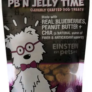 Einstein Pets Signature Treats PB'N Jelly Time Chewy Dog Treats - 8 oz Bag