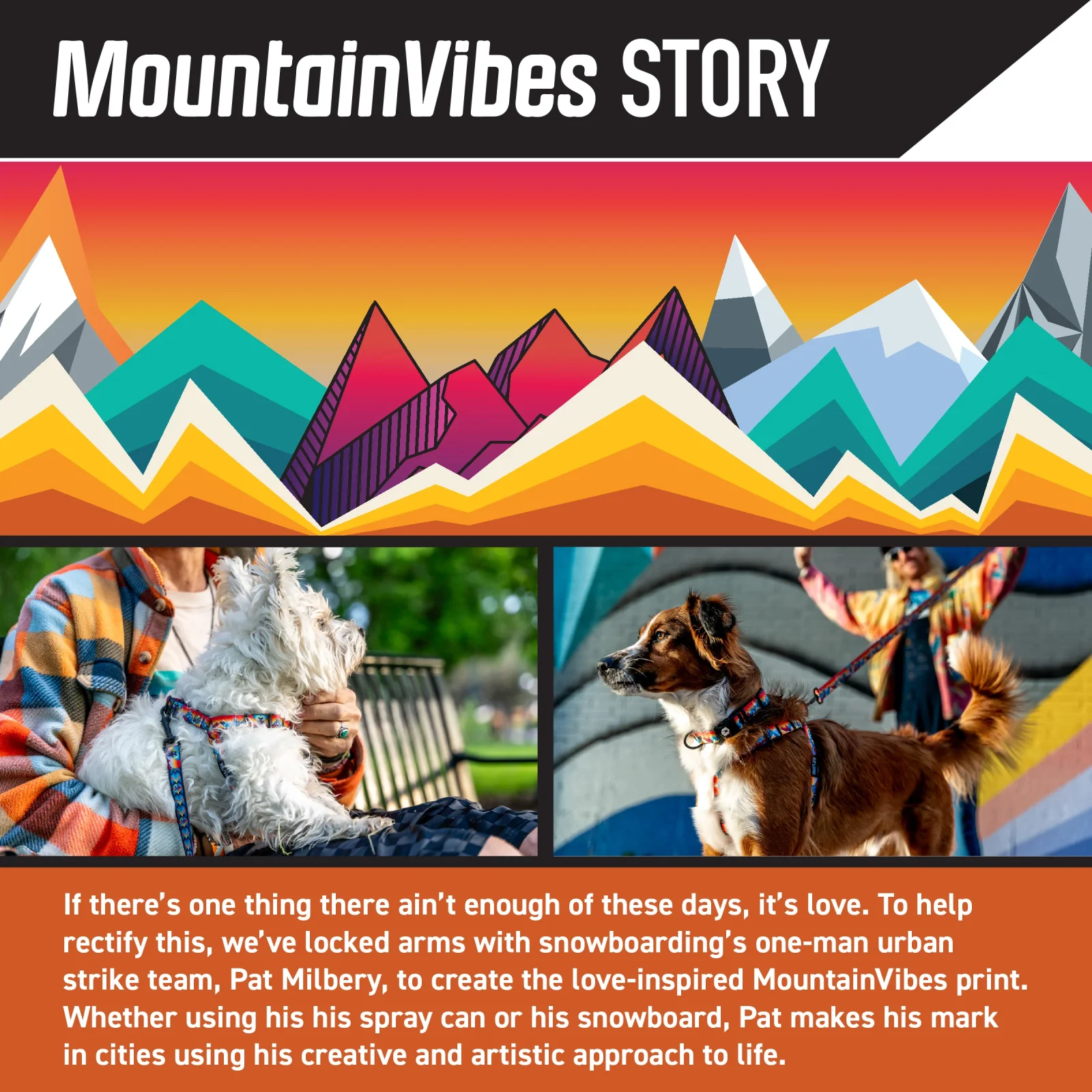 MountainVibes Wide Dog Collar - Image 2