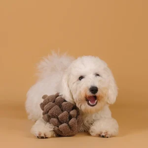 PINECONE SNUFFLE & SQUEAK DOG TOY