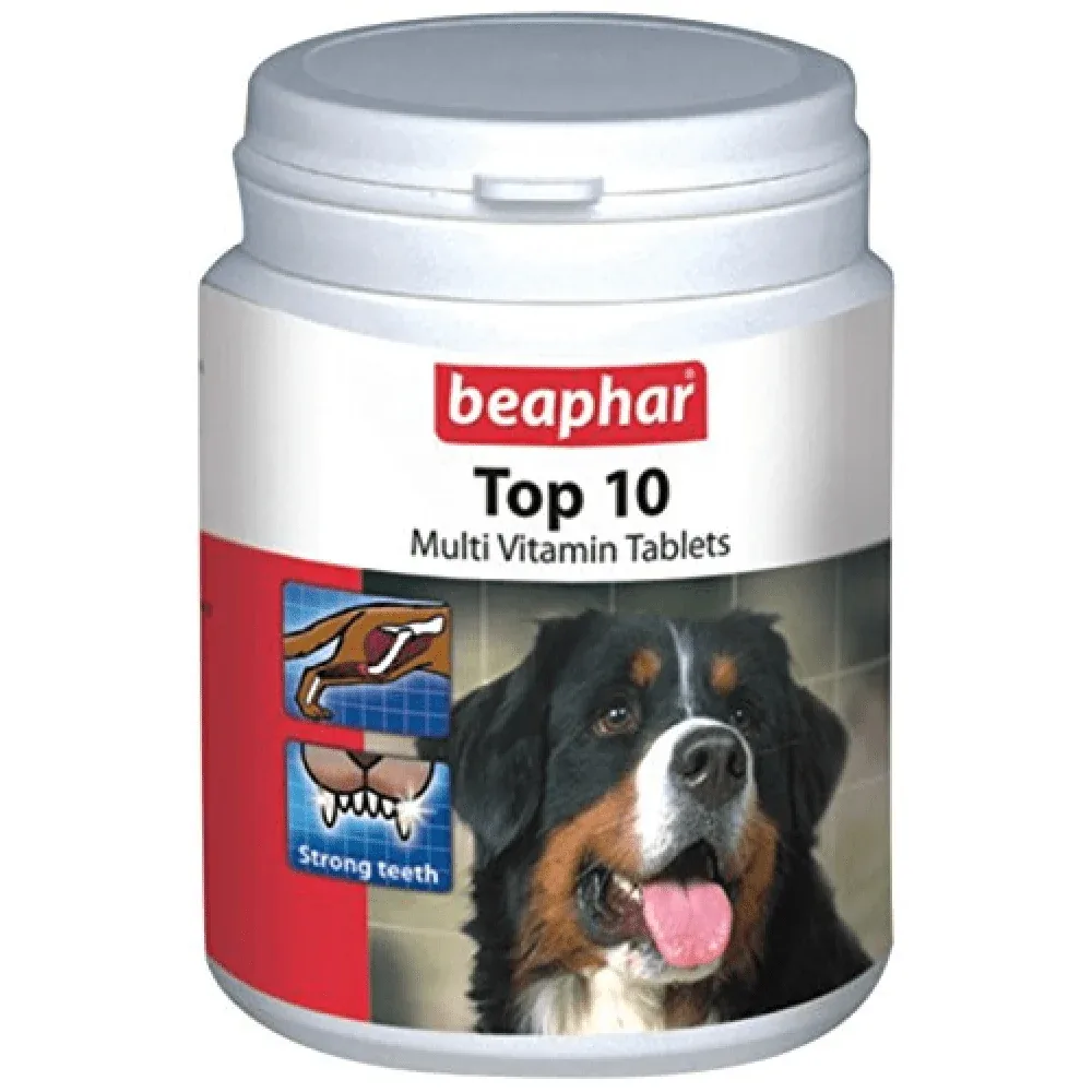 Beaphar Top 10 Multi Vitamin Supplement and Kalk Tablets Supplements for Dogs Combo - Image 2