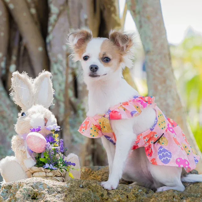 Easter Egg Pink Dress