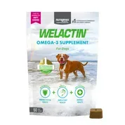 Nutramax Welactin® Omega-3 Skin & Coat Soft Chew Supplement for Dogs