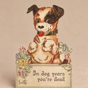IN DOG YEARS YOU'RE DEAD BIRTHDAY CARD