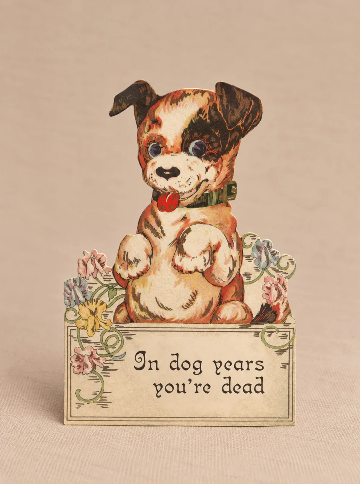 IN DOG YEARS YOU'RE DEAD BIRTHDAY CARD