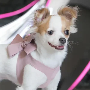 Susan Lanci Rosewood Nouveau Bow with Pink Giltmore Step In Harness