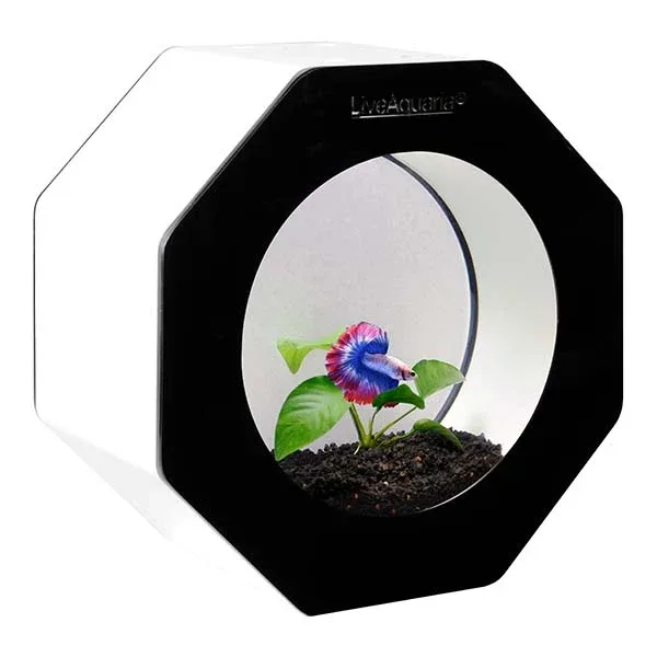 LiveAquaria® Octi Aquarium