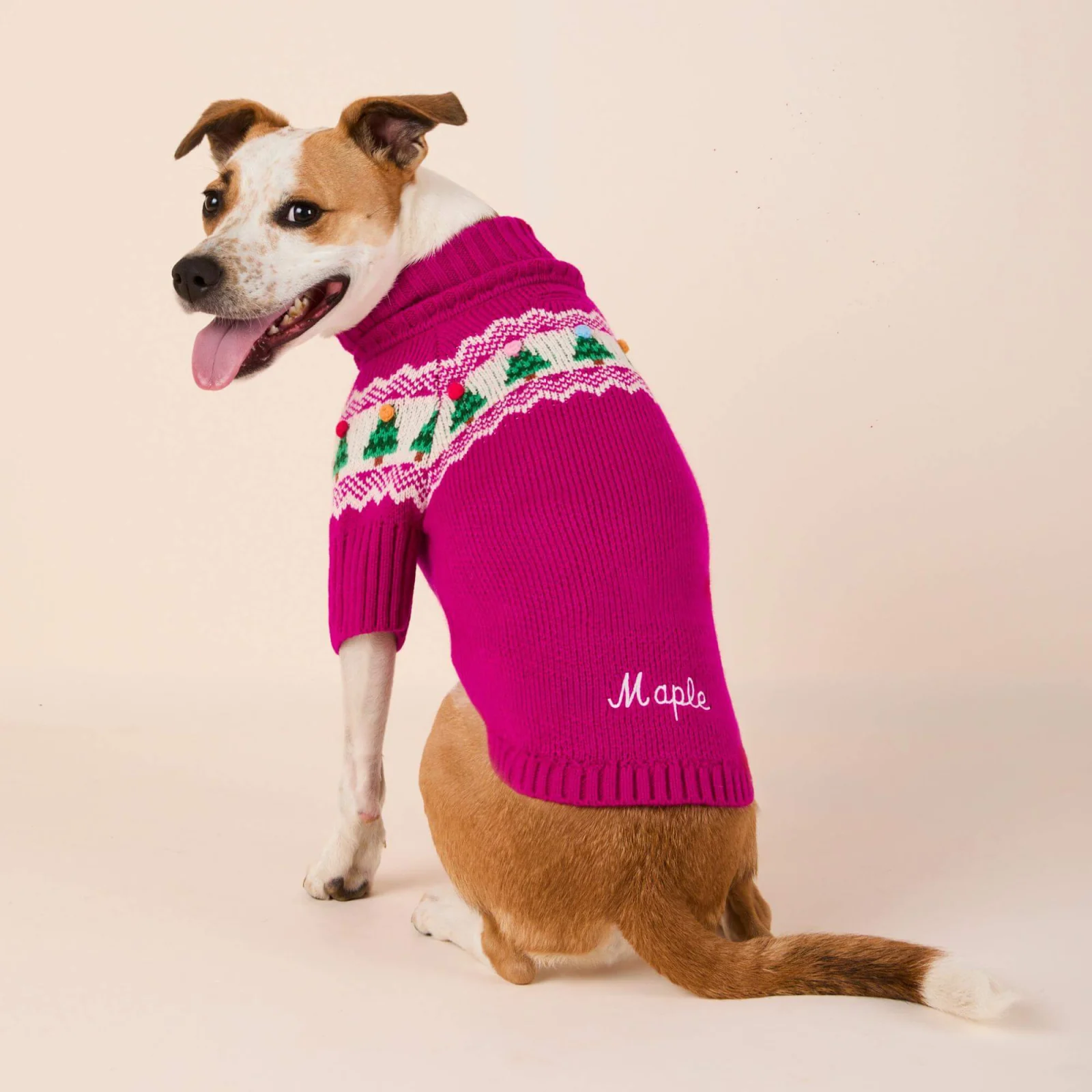 Merry and Bright Fair Isle Dog Sweater - Image 2