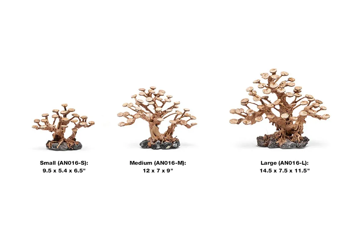 UNS Bonsai 016 - Image 2