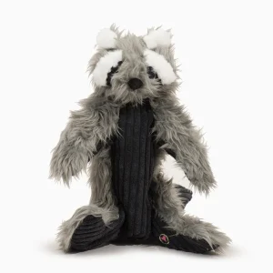 Redwood Raccoon