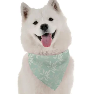Argan Earthy Dog Bandana by Bandoggies