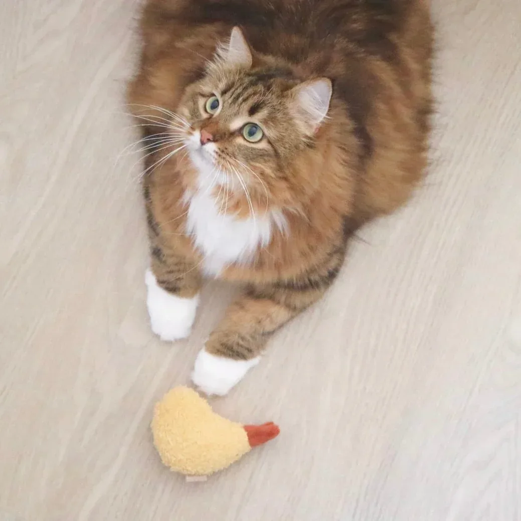 KITTY TEMPURA - Image 2
