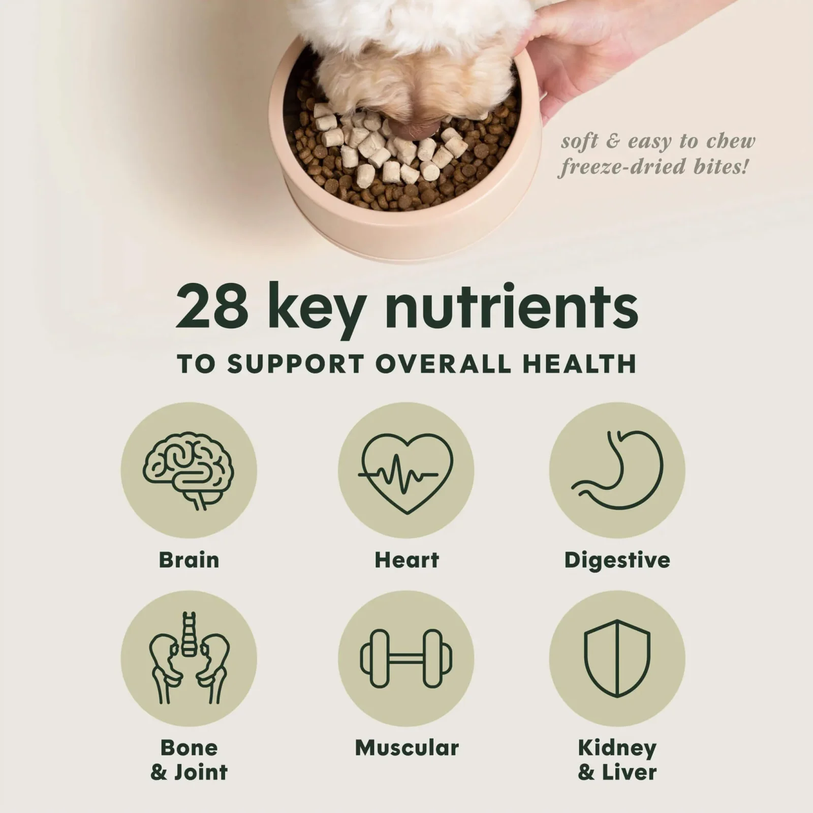 Instinct Raw Boost Mixers Freeze Dried Multivitamin Topper for Dogs - Image 2