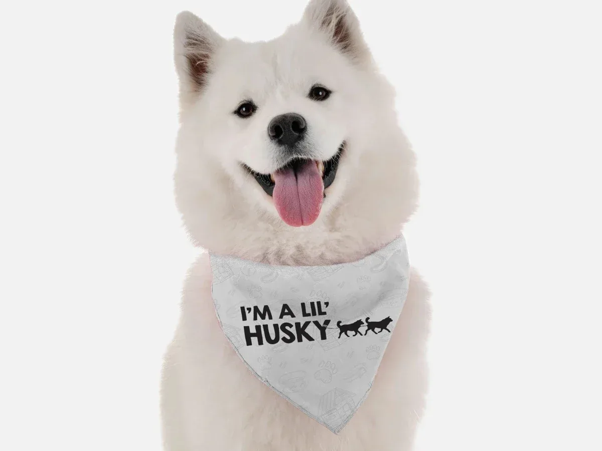 I'm a Lil' Husky Dog Bandana by BanDoggie - Image 2