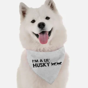 I'm a Lil' Husky Dog Bandana by BanDoggie