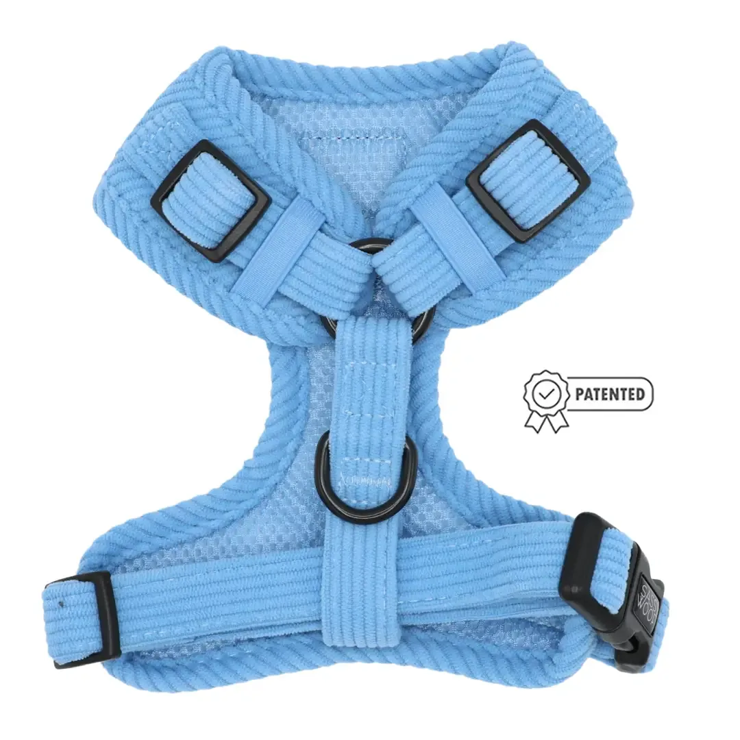 Morning Frost Adjustable Harness - Image 2