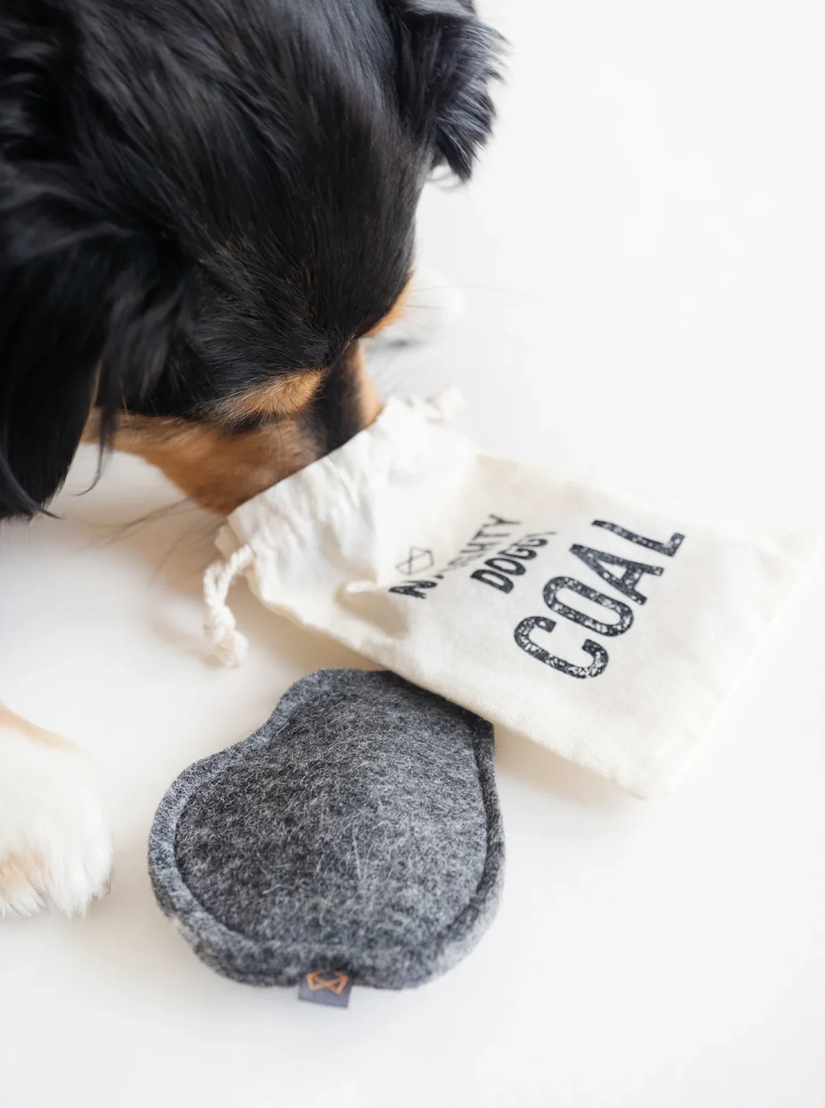 NAUGHTY DOGGY COAL - Image 2