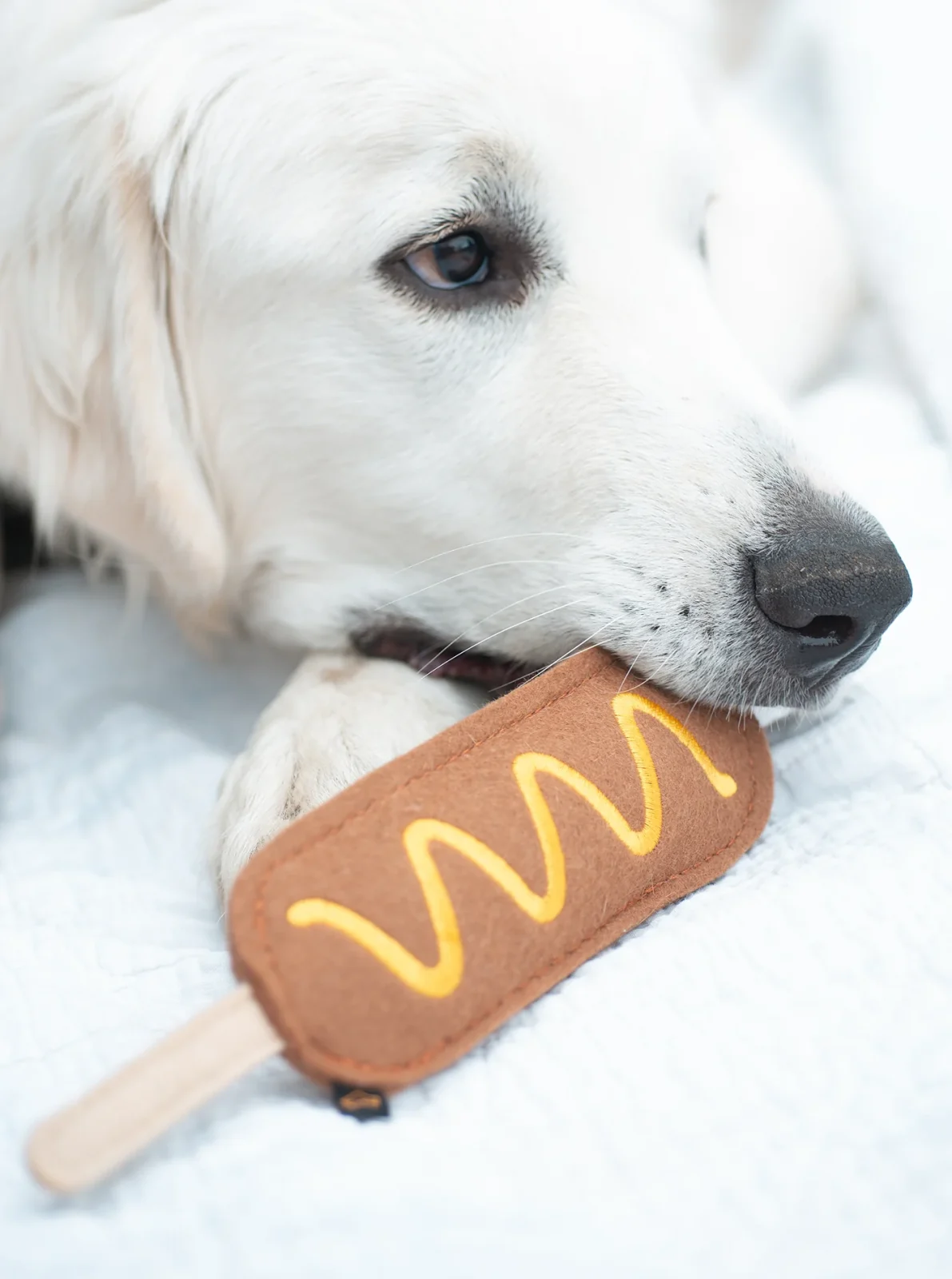 CORN DOG SQUEAKER DOG TOY - Image 2