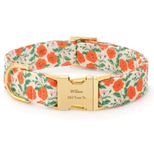 Golden Poppies Dog Collar