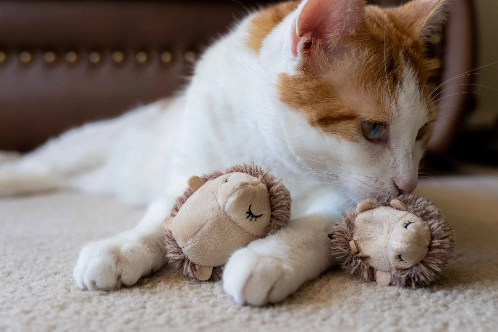Feline Frenzy Mama and Chip Toy Set - Image 2