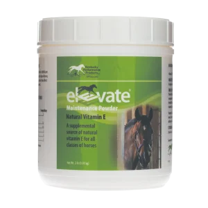 Elevate Maintenance Powder