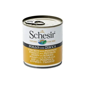 Schesir Chicken & Rice with Pumpkin in Jelly Dog Wet Food