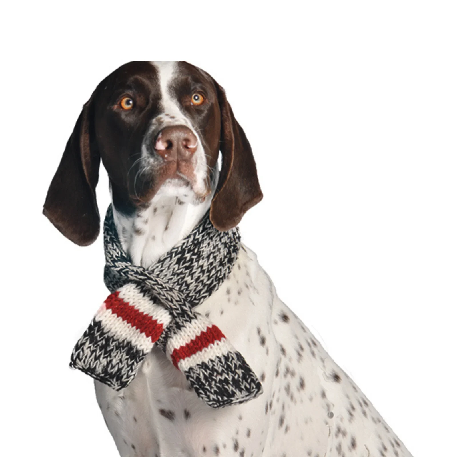 Boyfriend Scarf - Image 2
