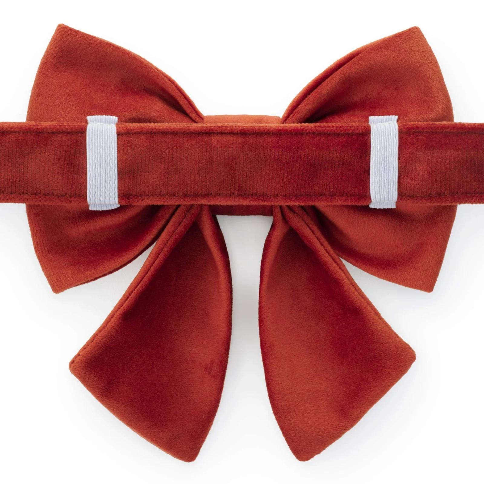 Sunflower Embroidered Lady Bow Collar - Image 2