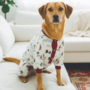 Fun Fam Surfing Santa Pajama (Dog & Kids)