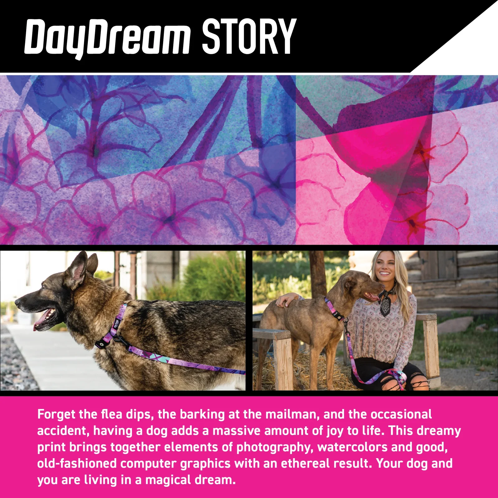 DayDream MARTINGALE DOG COLLAR - Image 2