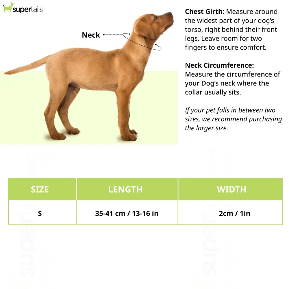 Hunter Solid Education Cord Collar for Dogs (Dark Brown) - Image 2