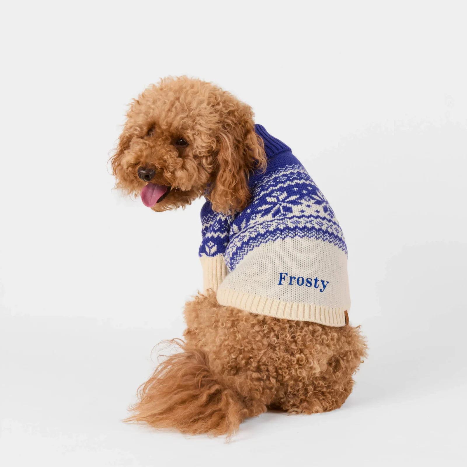 Snow Day Fair Isle Dog Sweater
