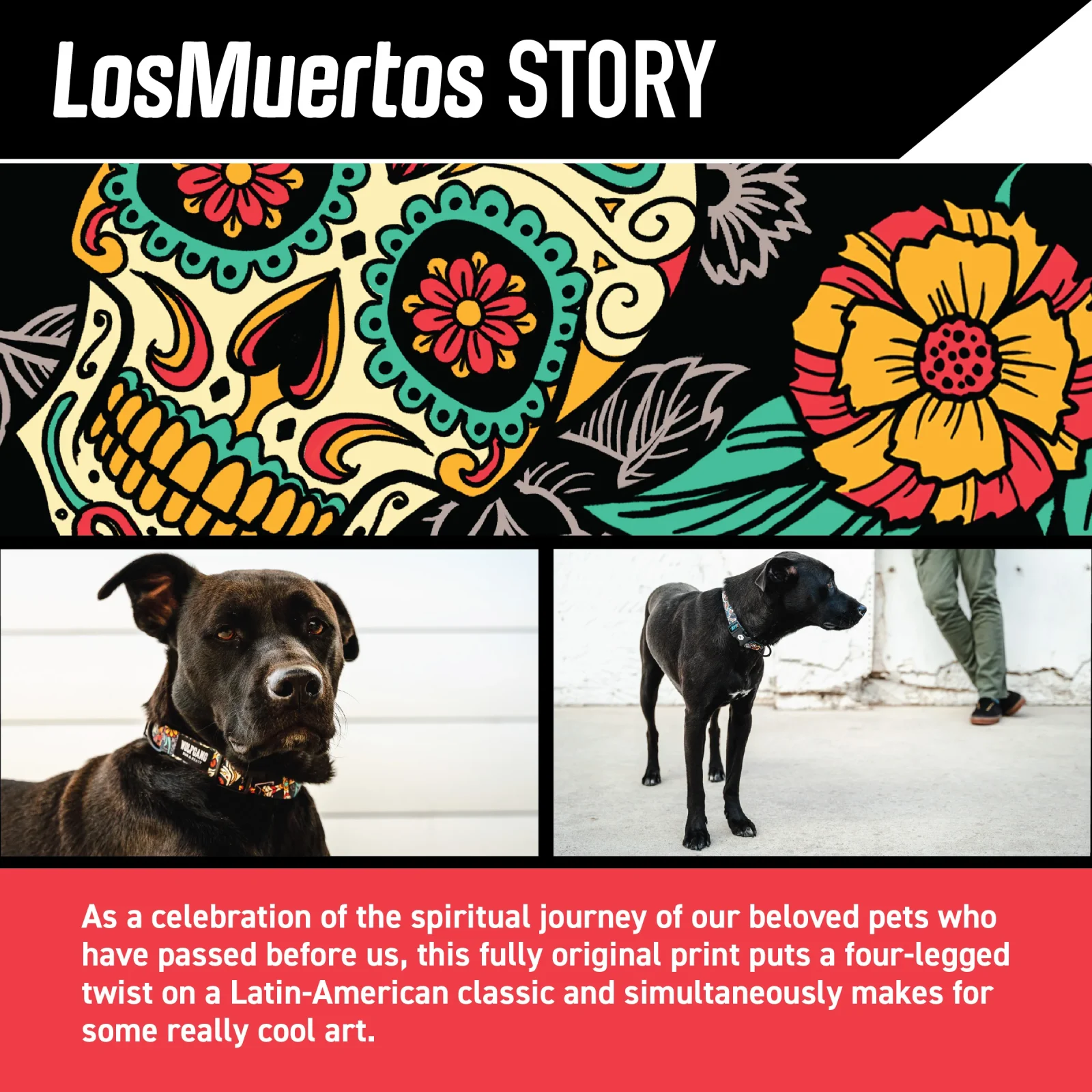 LosMuertos Dog Harness - Image 2