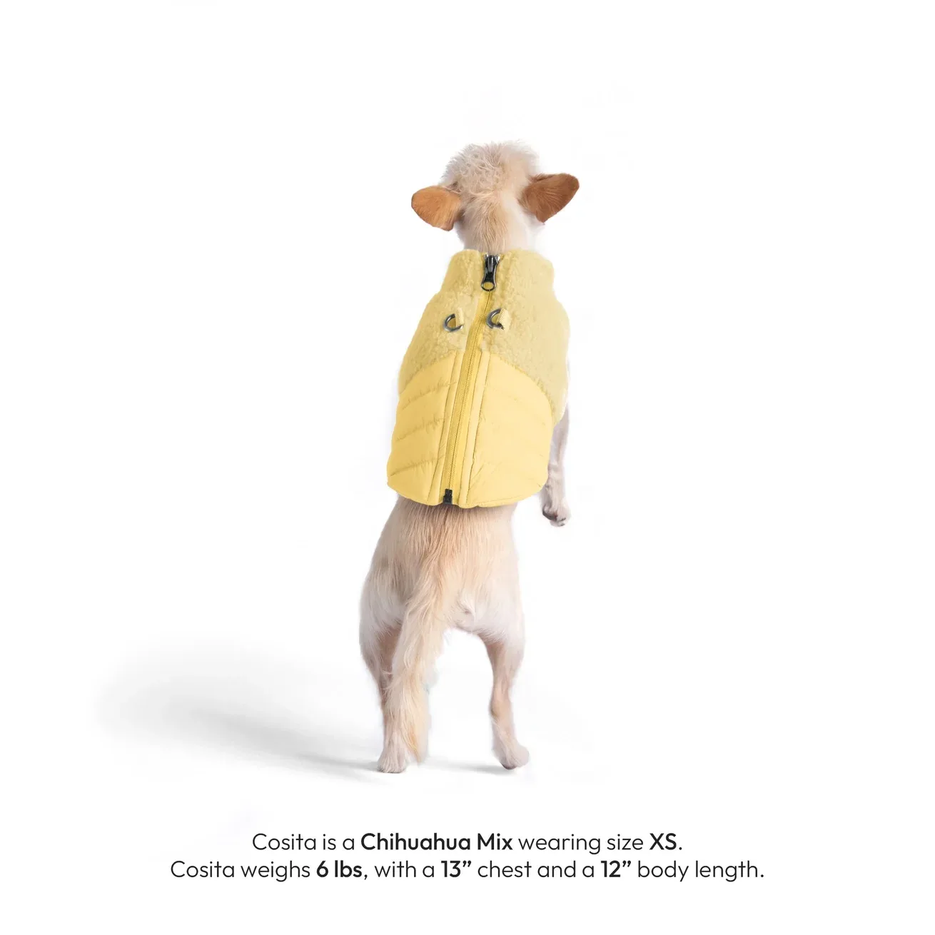 Gooby Sherpa Puffer Vest in Butter Yellow - Image 2