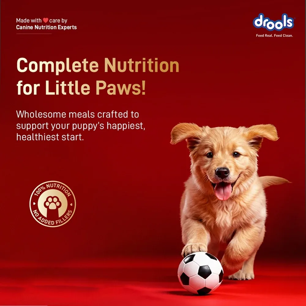 Drools Meat and Milk Puppy Dog Dry Food - Image 2
