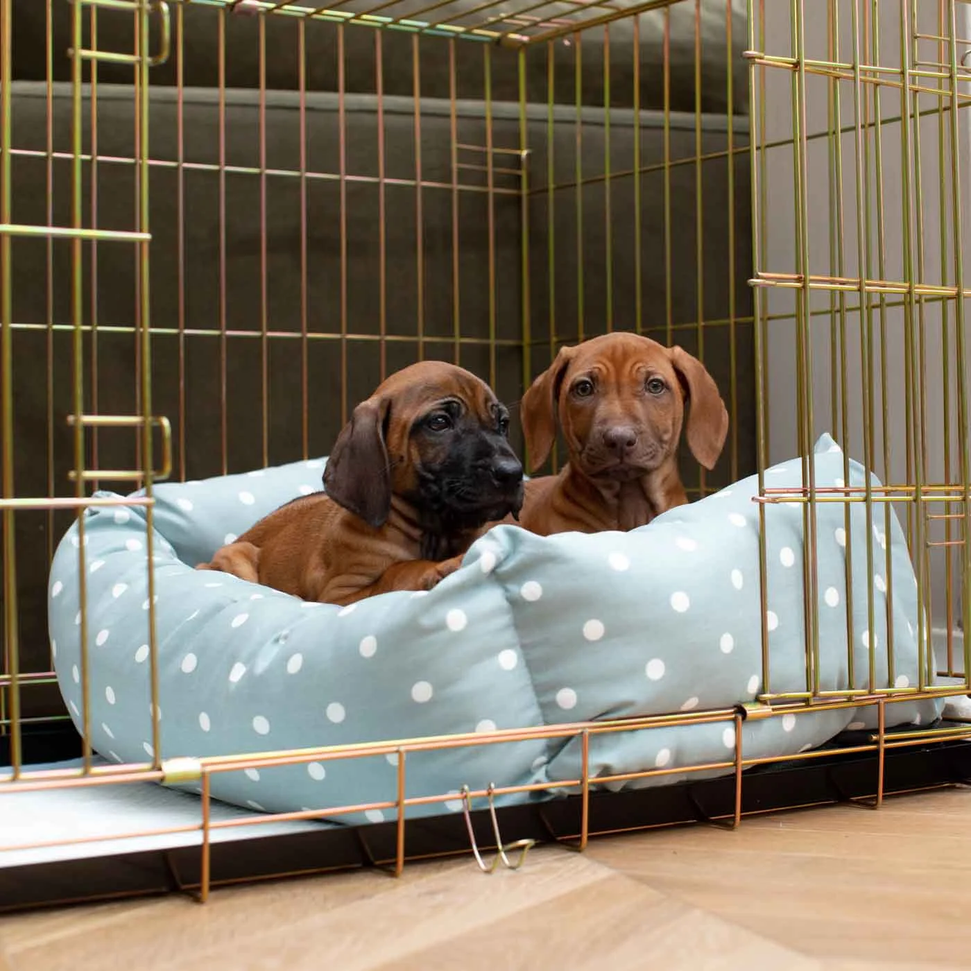 Dog Crate with Cosy & Calming Puppy Crate Bed in Duck Egg Spot by Lords & Labradors - Image 2