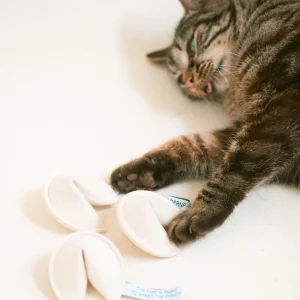 FORTUNE COOKIE CATNIP TOY: 3 PACK BUNDLE