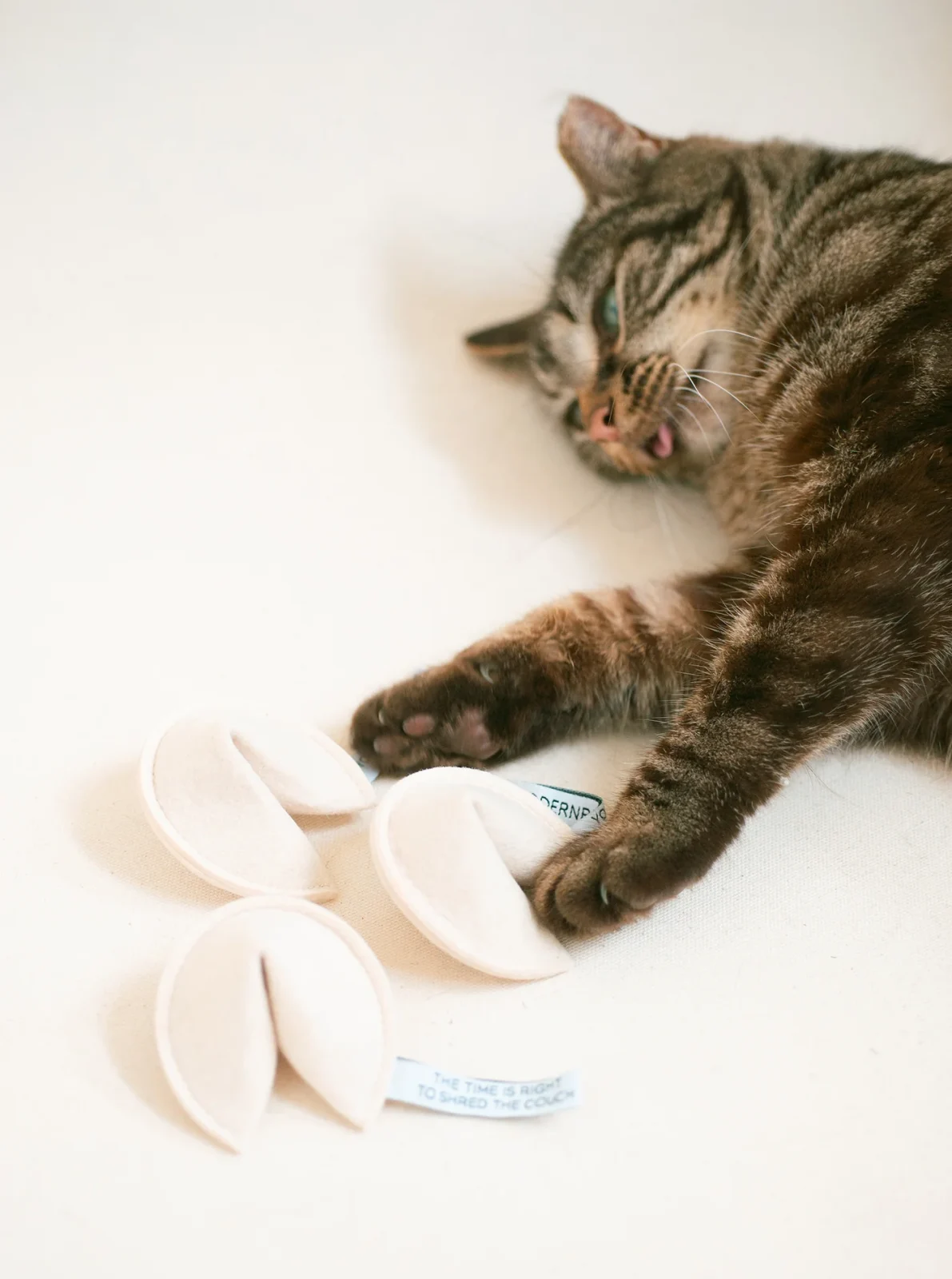 FORTUNE COOKIE CATNIP TOY: 3 PACK BUNDLE
